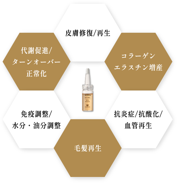 Spina Absolute | Derma THE FIRST│細胞レベルから美を追求する