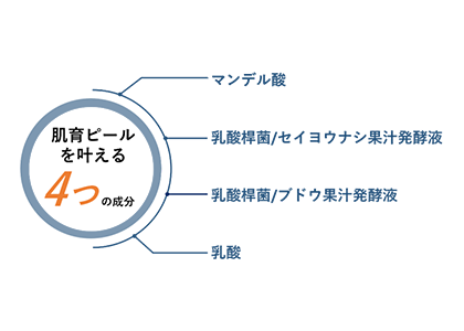 肌育ピールを叶える4つの成分